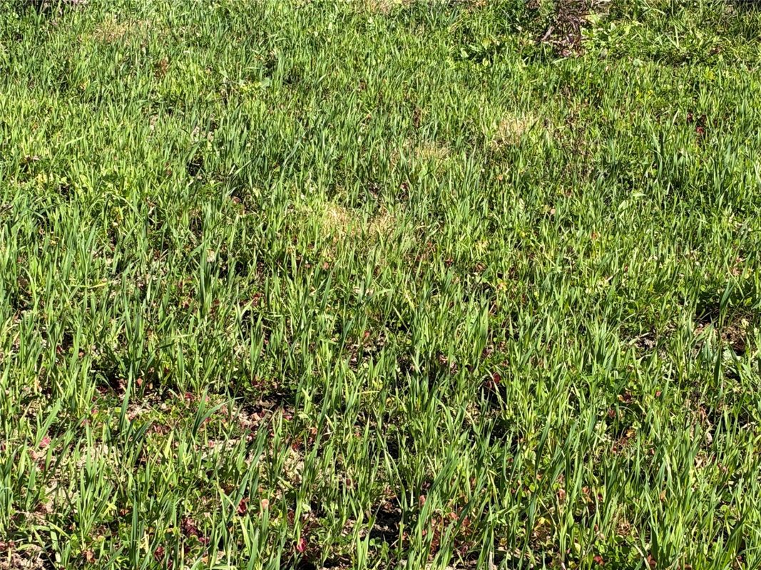 OOO RICHFIELD WOOD ROAD, Arpin WI 54410 - Land house for sale - MLS #1605936 - image19