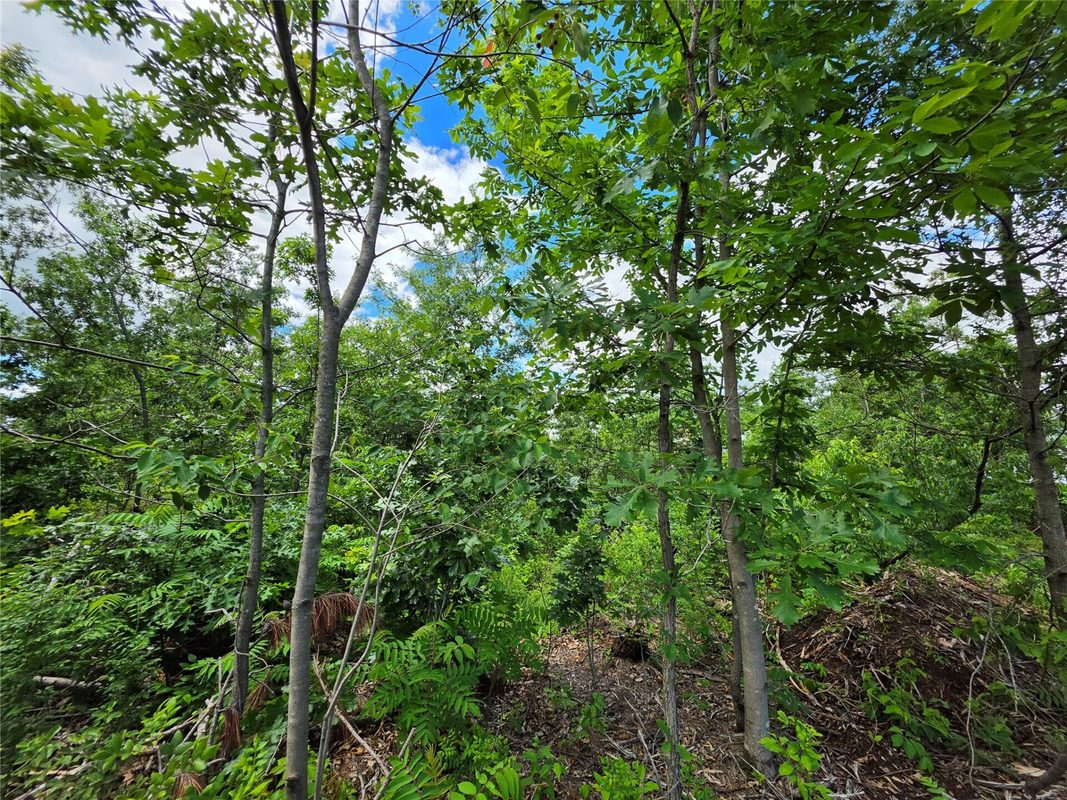 Lot 3 County Highway E, Elk Mound WI 54739 - Land house for sale - MLS #1600992 - image8