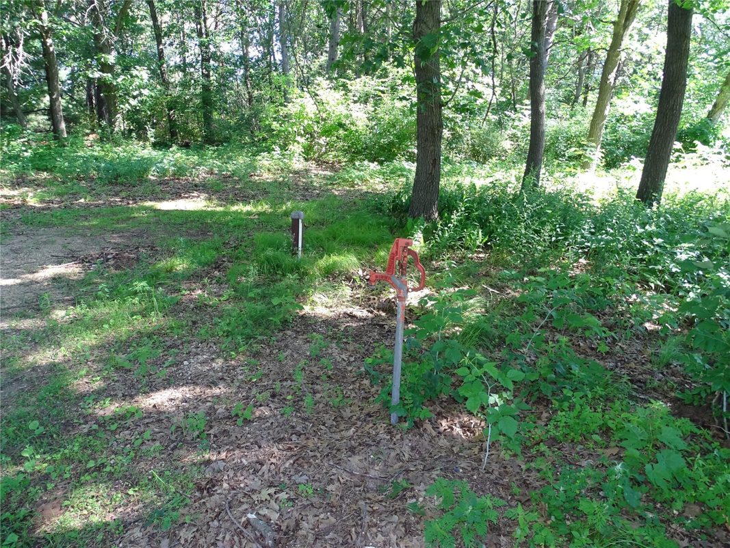 N4916 County Road, Arkansaw WI 54721 - Land house for sale - MLS #1602573 - image4