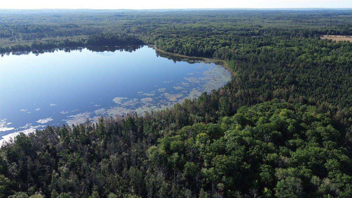 0000 Sand Lake Road, Stone Lake WI 54876 - Land house for sale - MLS #1604299 - image8