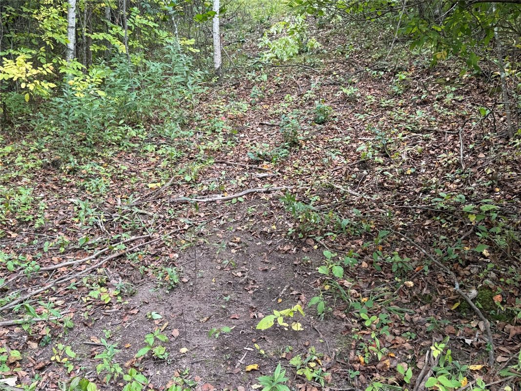 XXX 23 1/2 Street, Rice Lake WI 54868 - Land house for sale - MLS #1605312 - image18