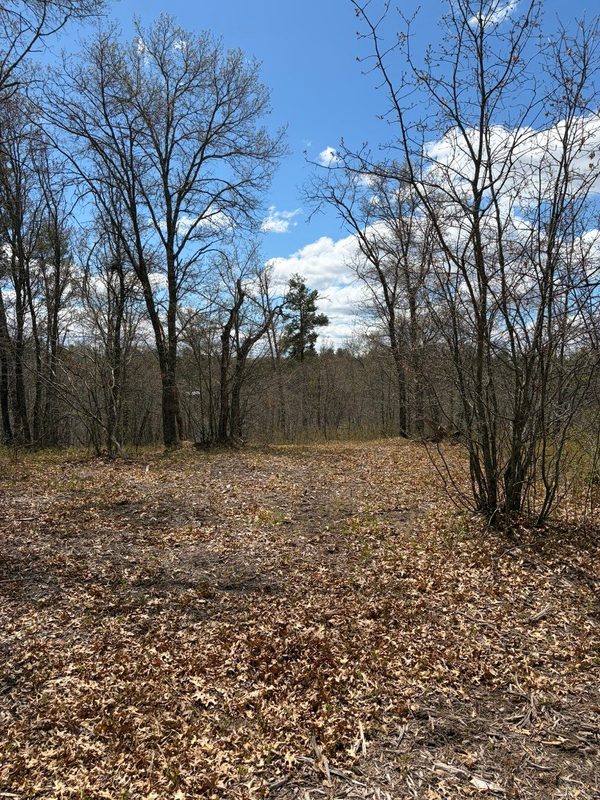 Lot 2 Sleepy Eye Road, Minong WI 54859 - Land house for sale - MLS #1602148 - image10