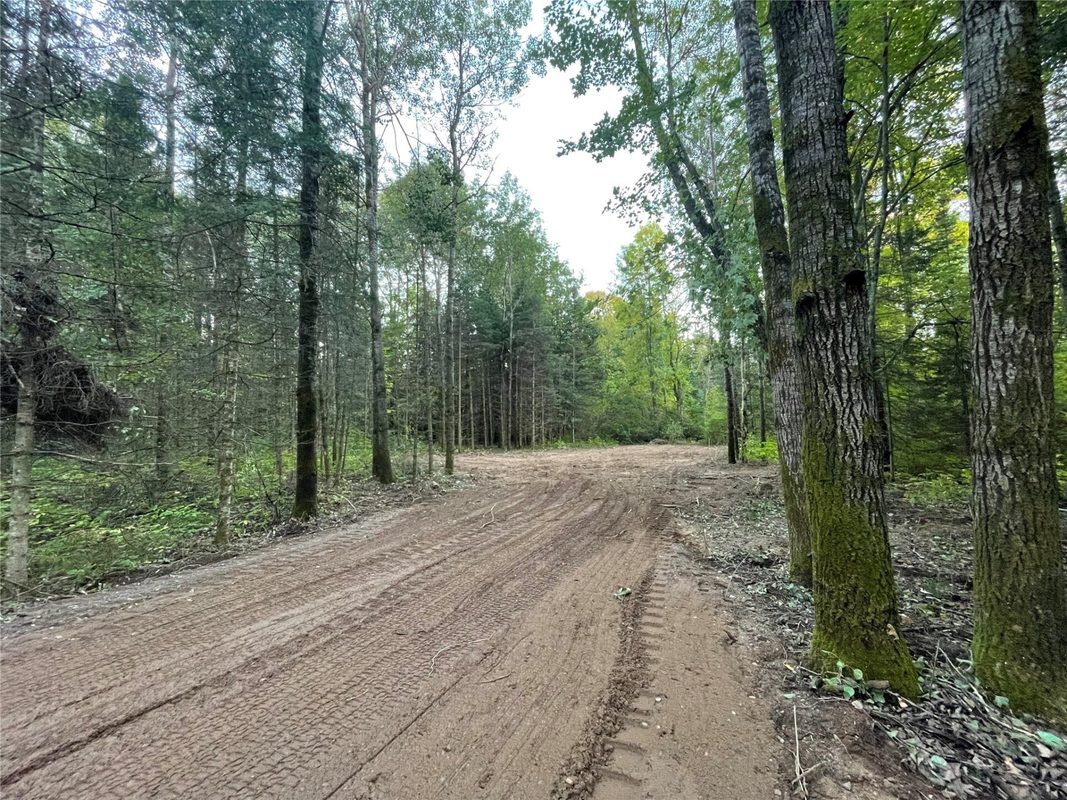 Lot 1 Fadness Road, Winter WI 54896 - Land house for sale - MLS #1605263 - image3