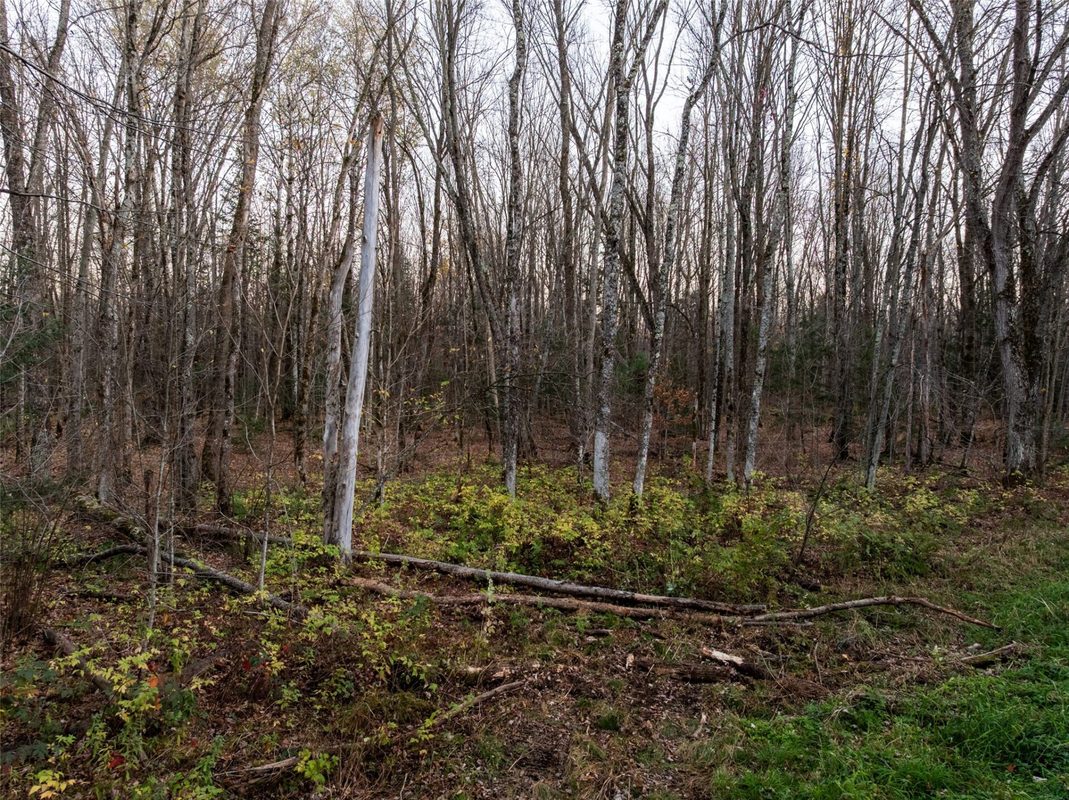 000 Manglos Avenue, Sheldon WI 54766 - Land house for sale - MLS #1606366 - image5