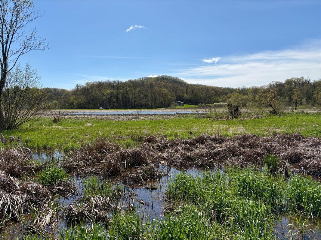 0 Hwy 37, Alma, WI — photo 12