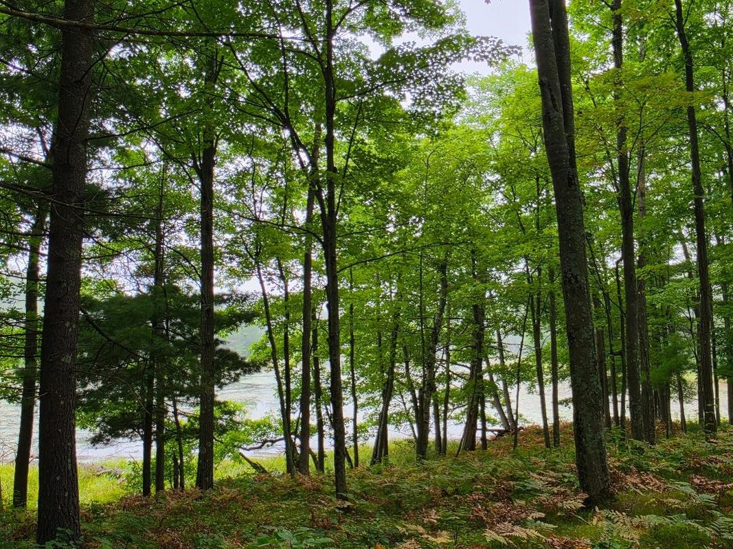 00 10 1/2-28 1/2, Barronett WI 54813 - Land house for sale - MLS #1604830 - image31
