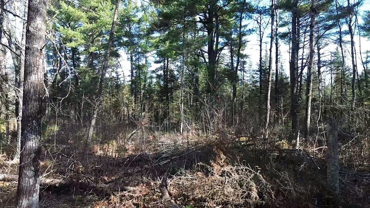 127XX State Highway 70, Couderay WI 54828 - Land house for sale - MLS #1606290 - image9