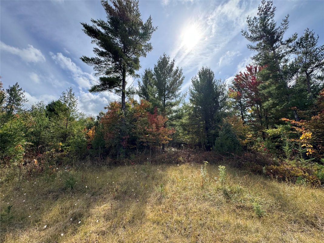 W4199 Ballard Road, Neillsville WI 54456 - Land house for sale - MLS #1605652 - image21