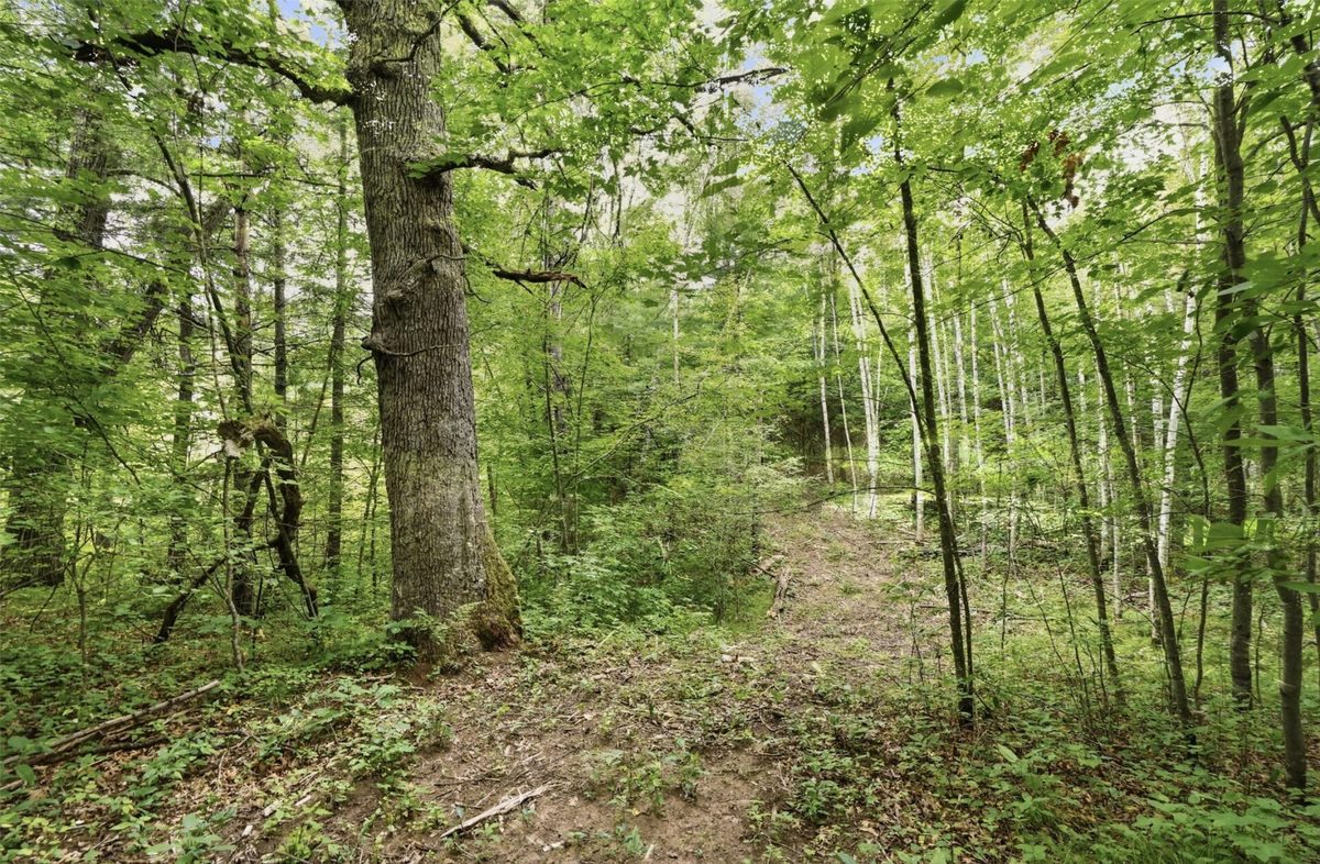 25307 144th Street, New Auburn WI 54757 - Land house for sale - MLS #1603702 - image19