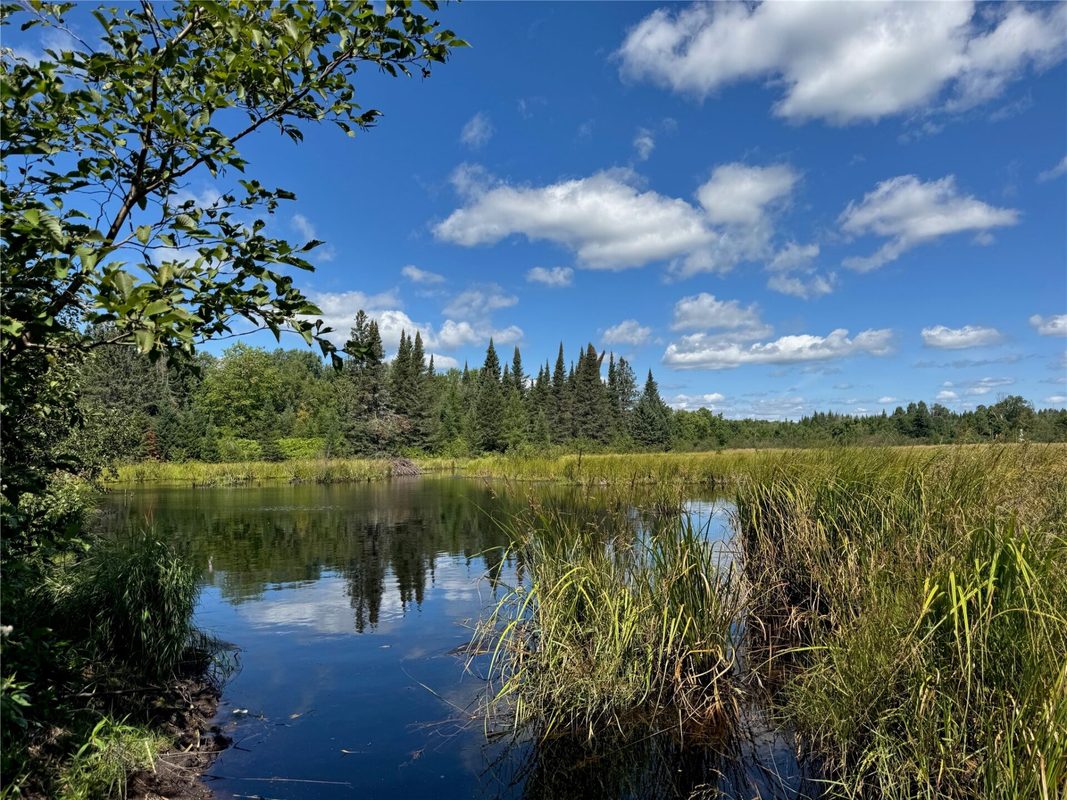 8143 Wright Road, Winter WI 54896 - Land house for sale - MLS #1594262 - image8