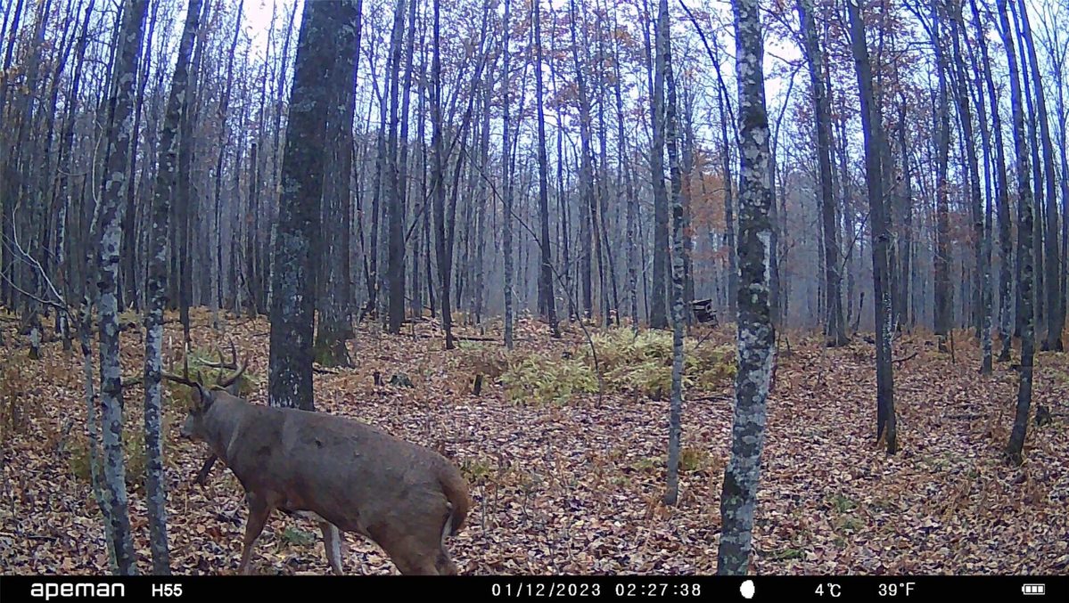 0000 West Eckel Lane, Exeland, WI