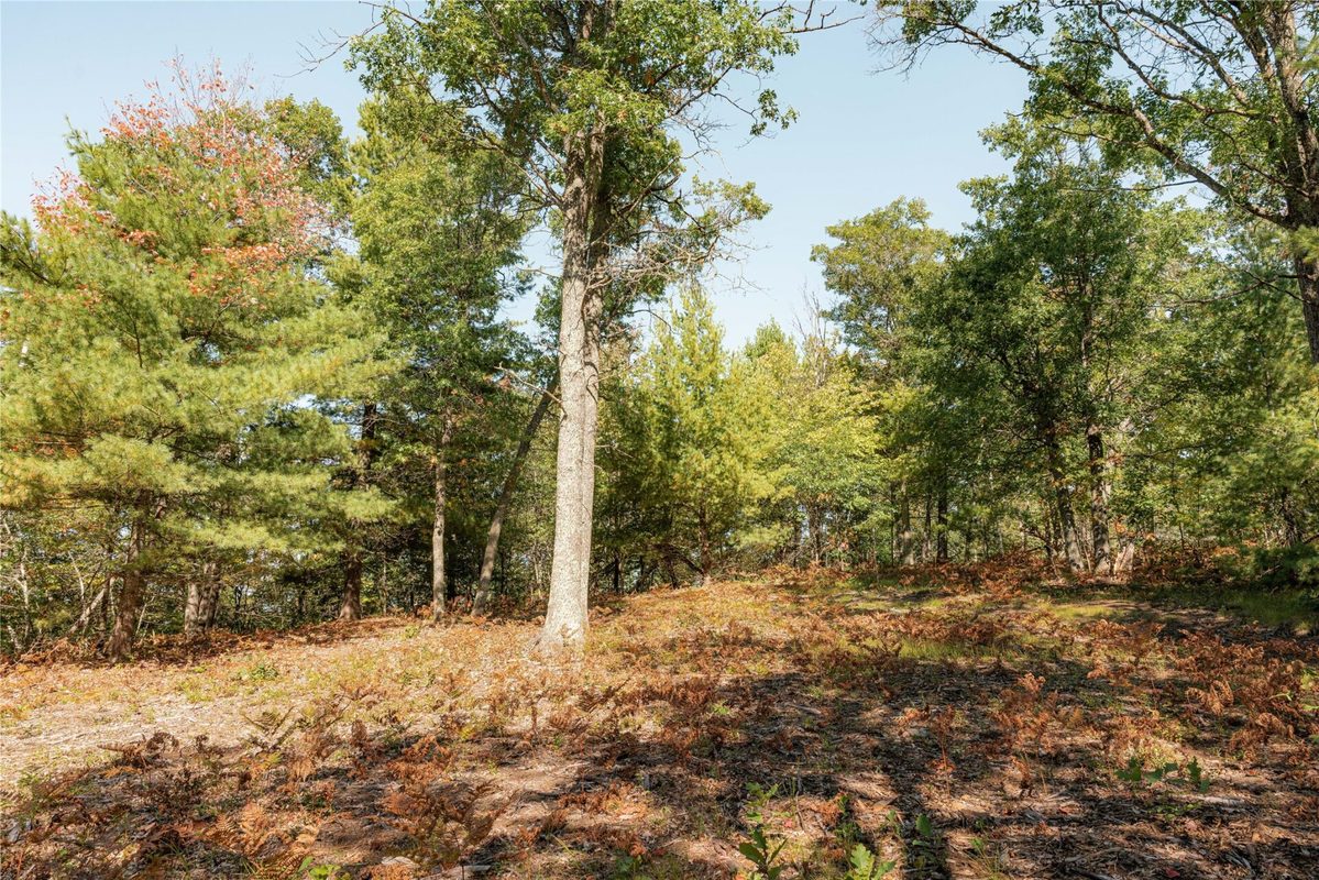 0 E Long Lake Road, Iron River WI 54856 - Land house for sale - MLS #1605717 - image14
