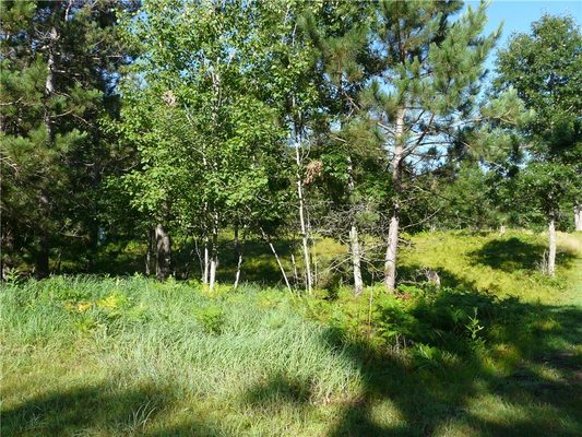 TBD Treasure Island Drive Danbury WI 54830