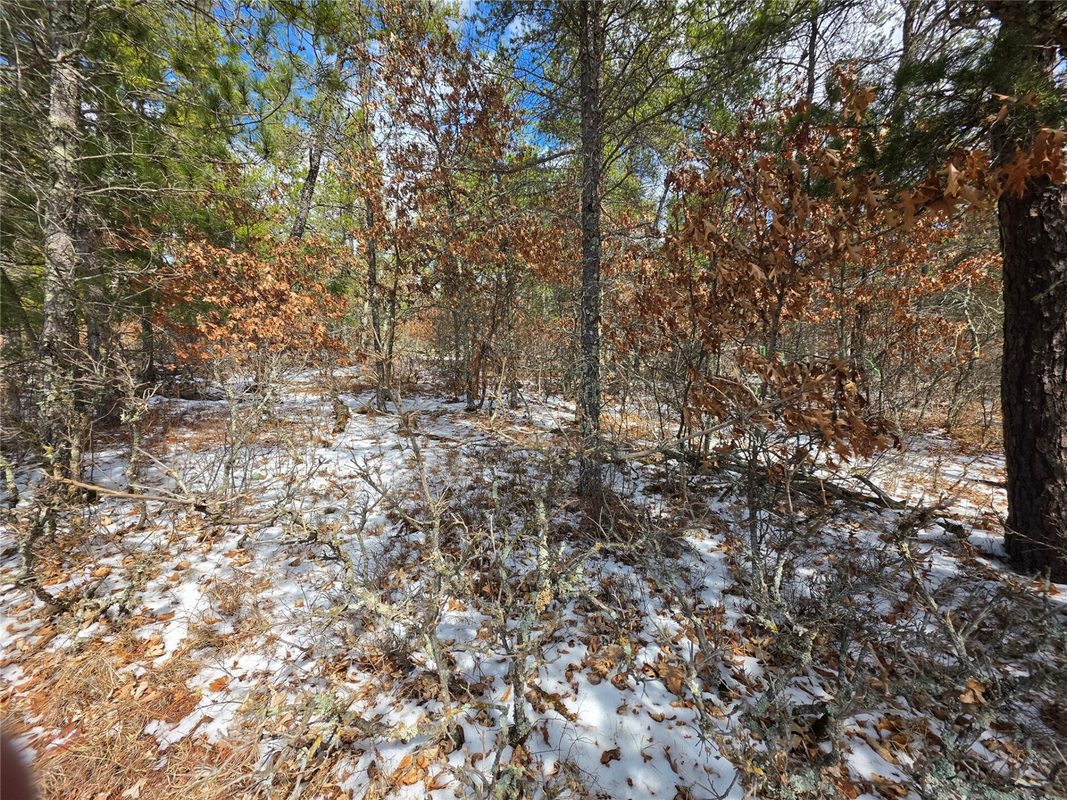 9075 W Wood Duck Lane Minong WI 54859 — photo 2
