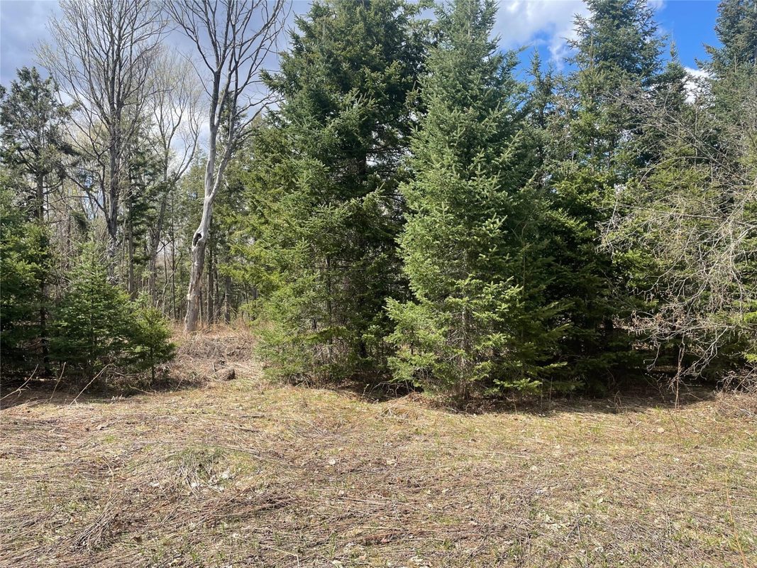81620 Pociask Road, Butternut WI 54514 - Land house for sale - MLS #1601089 - image8