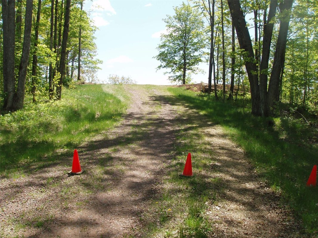 Lot 1 On Highway 169, Mellen, WI — photo 17