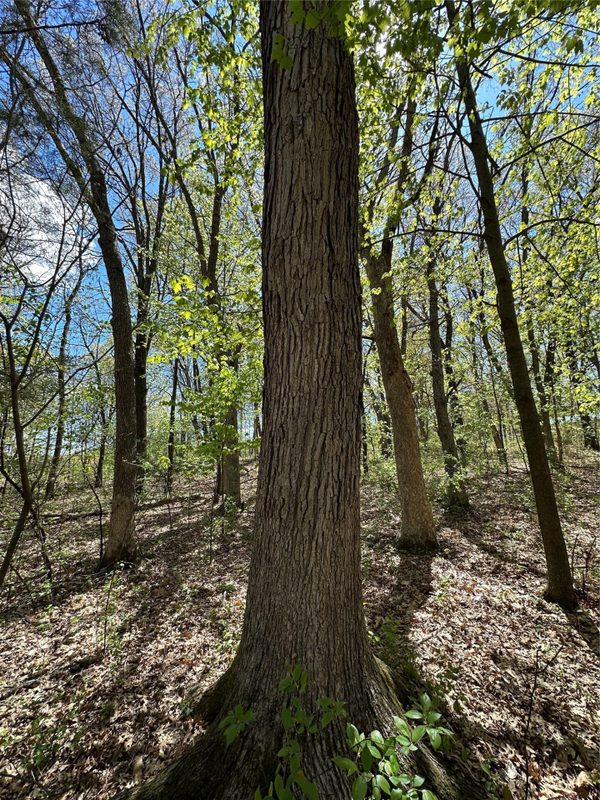 1438 Pleasant Hill Road, Eau Claire WI 54703 - Land house for sale - MLS #1602766 - image31