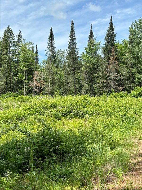 16550 Ridgerock Road, Hayward WI 54843 - Land house for sale - MLS #1591202 - image9