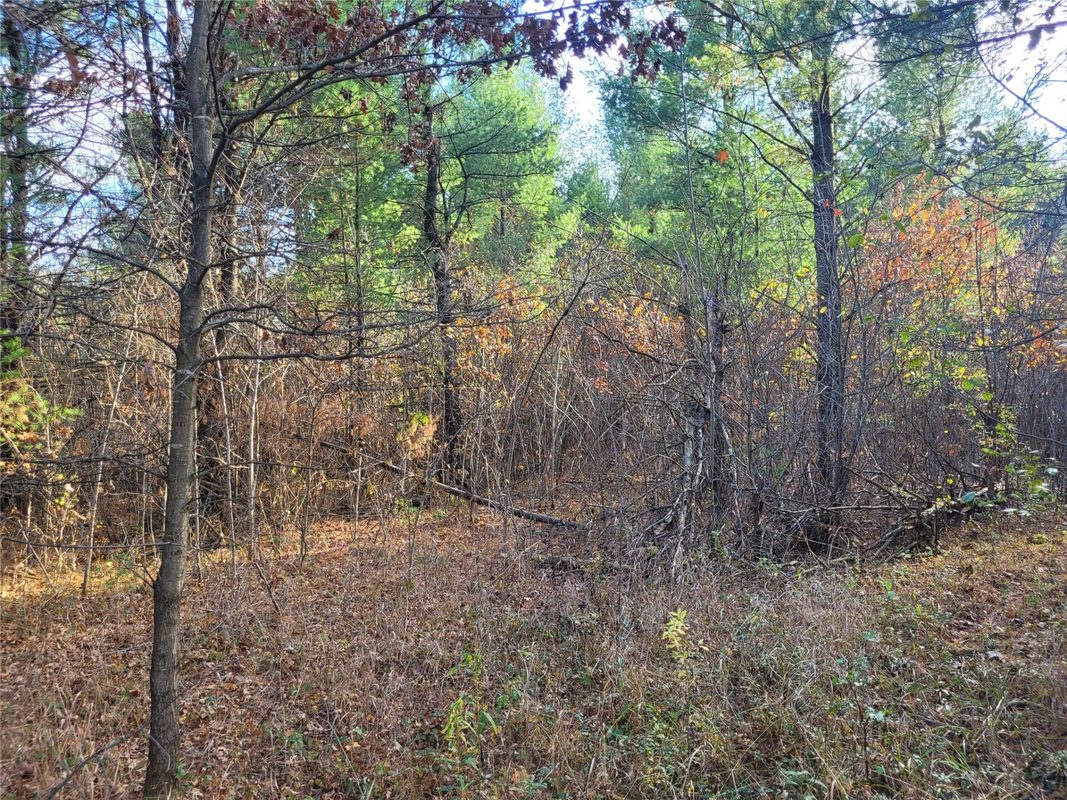 N10835 Kovar Road, Merrillan WI 54741 - Land house for sale - MLS #1606219 - image7