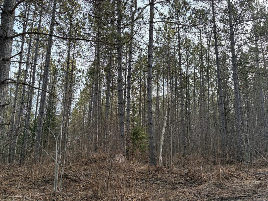 ON Barker Lake Road, Winter WI 54896 - Land house for sale - MLS #1599276 - image6