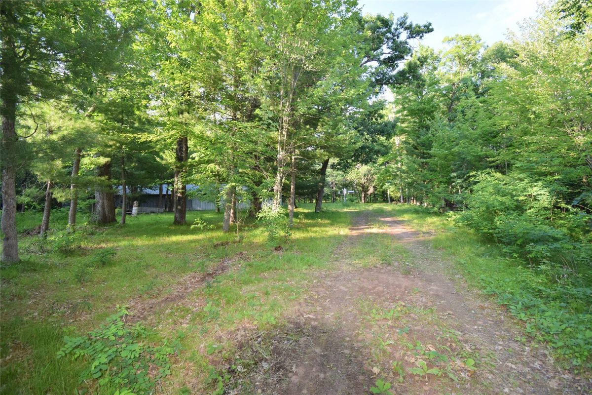 7230 County Road U, Danbury WI 54830 - Land house for sale - MLS #1602895 - image25