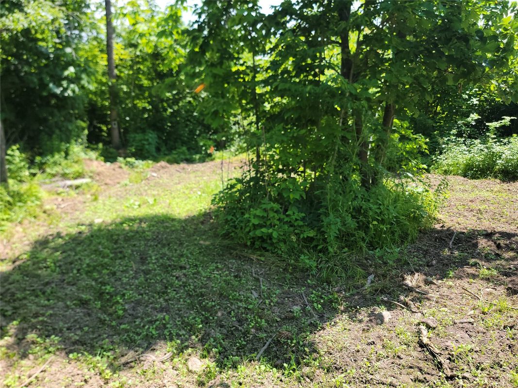 On County Road H, Radisson WI 54867 - Land house for sale - MLS #1603350 - image6