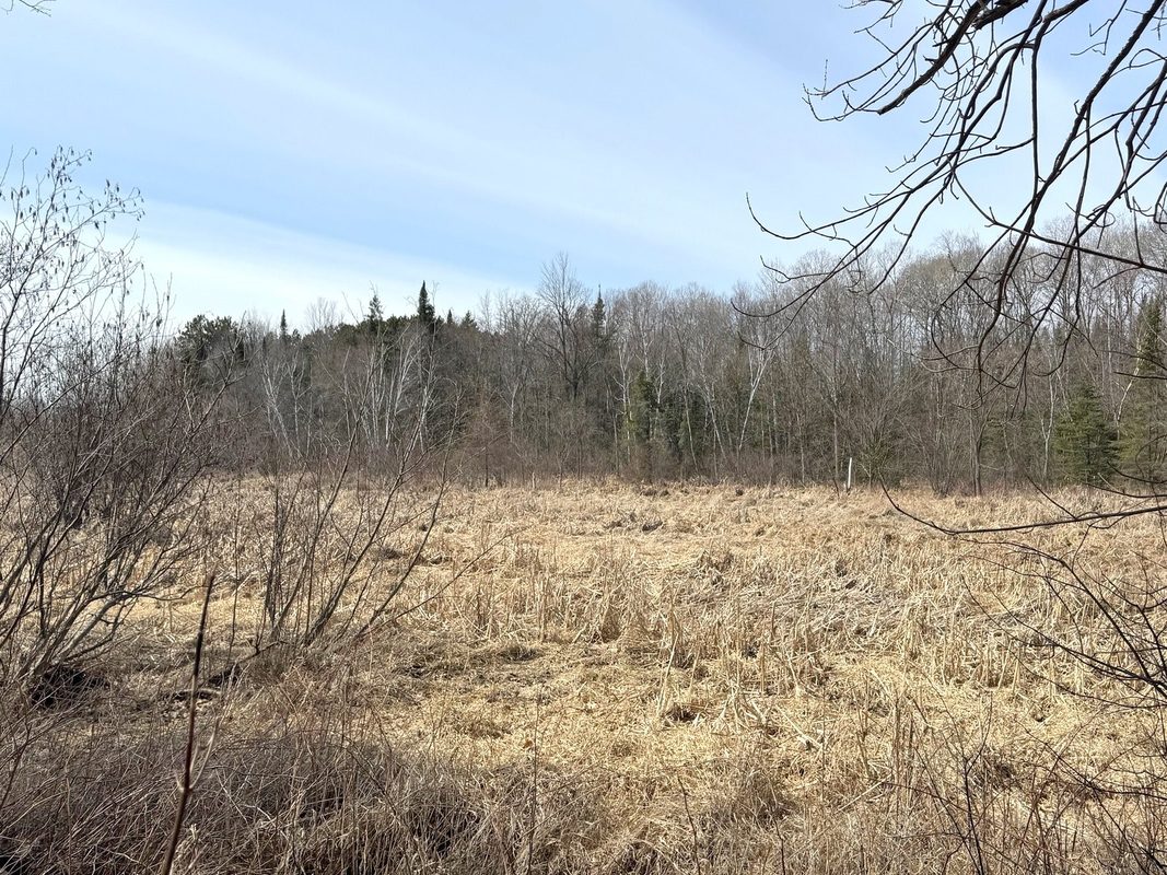 820 14th Avenue Almena WI 54805 — photo 46