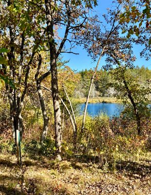 9524 E Bergin Springs Road Solon Springs WI 54873