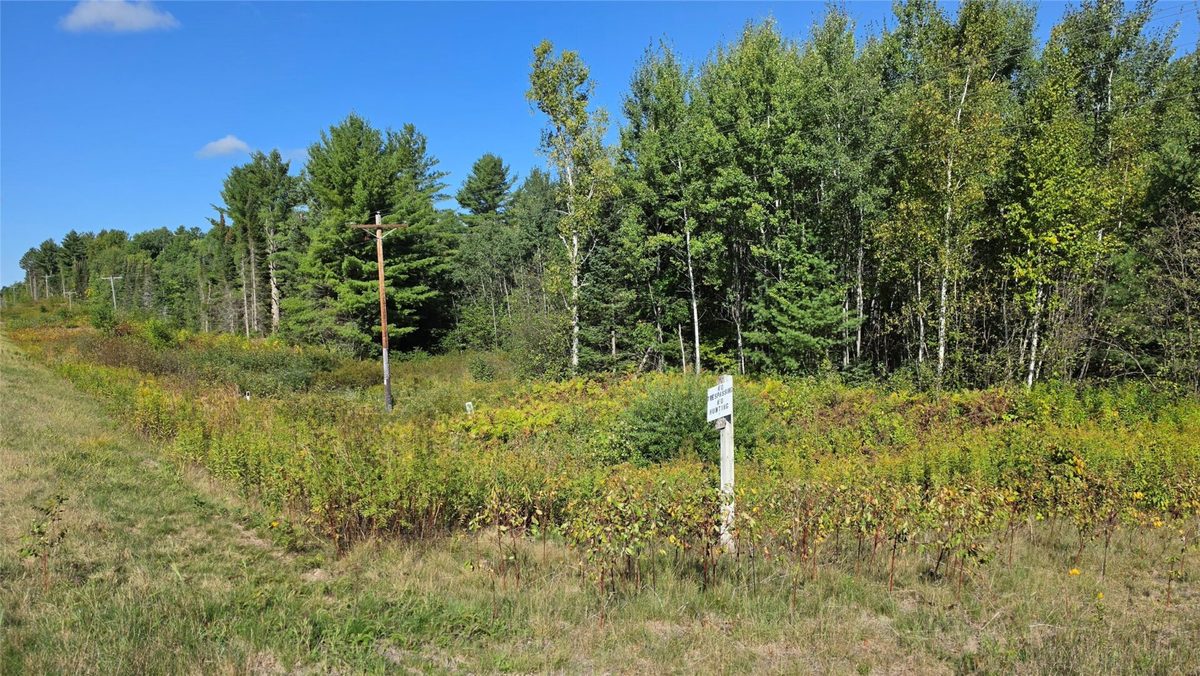 4602W State Highway 70, Winter WI 54896 - Land house for sale - MLS #1605196 - image3