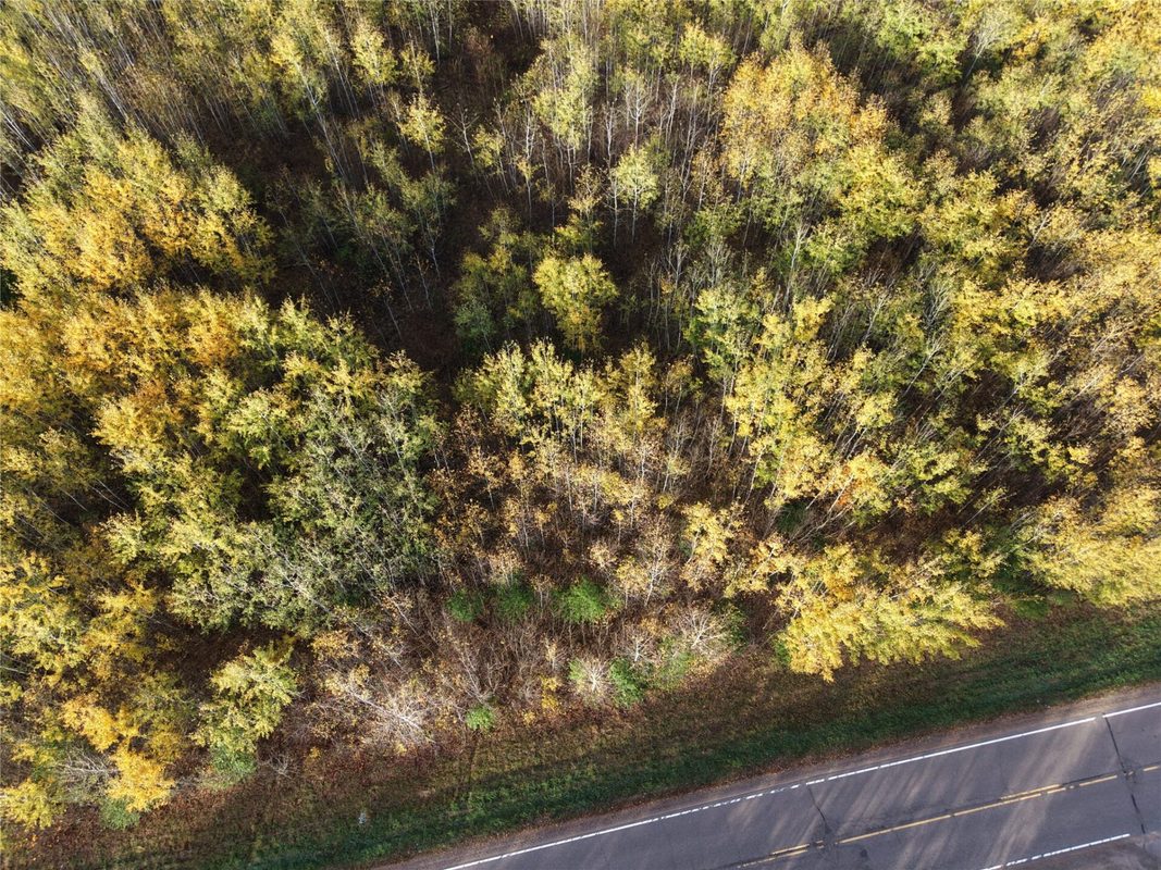 On County Highway W, Winter WI 54896 - Land house for sale - MLS #1605419 - image5