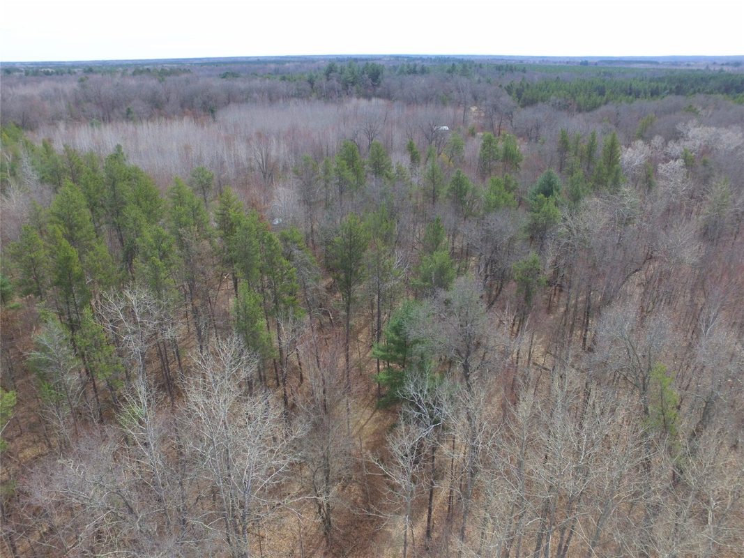 9274 Black Brook Road Webster WI 54893 — photo 24