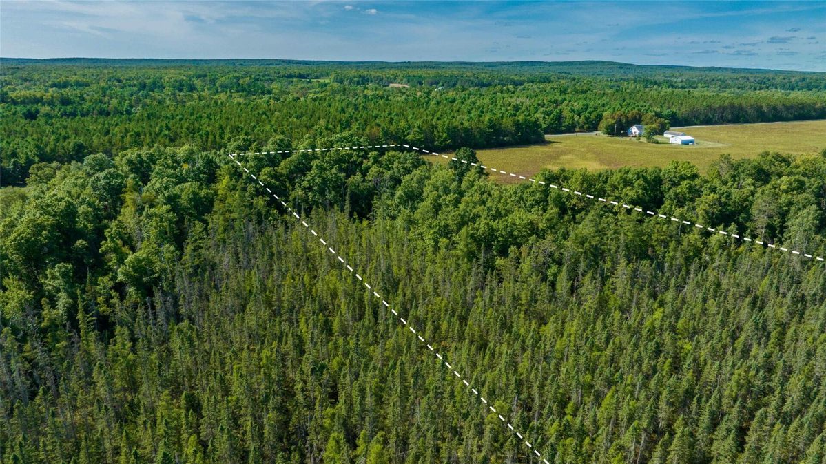 7562 Fairview Road, Ladysmith WI 54848 - Land house for sale - MLS #1605842 - image25