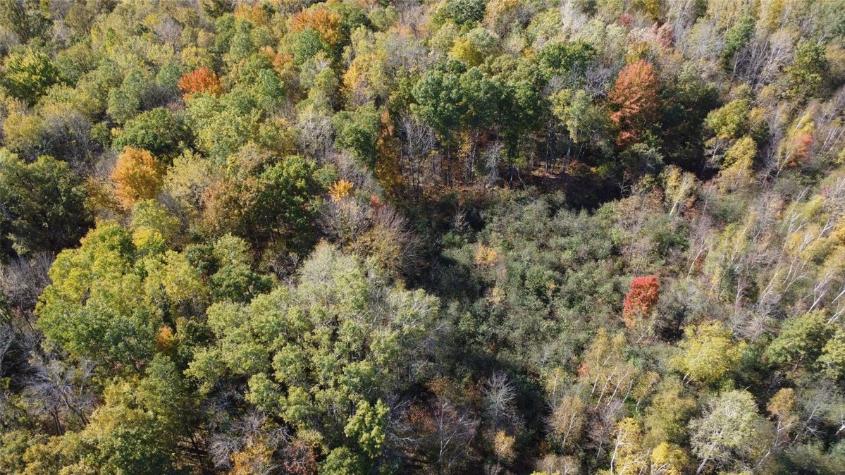 OOO Richfield Wood Road, Arpin WI 54410 - Land house for sale - MLS #1605936 - image11
