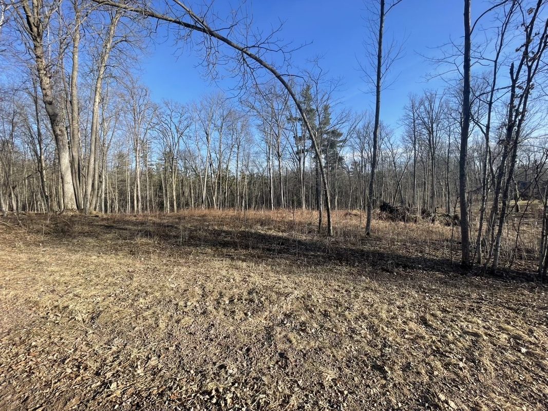 2897 29 7/8 Avenue Birchwood WI 54817 — photo 2