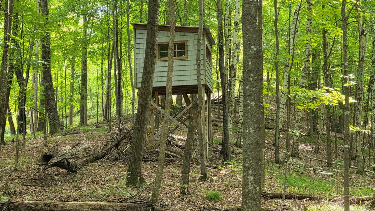 XX County Rd O, Boyceville WI 54725 - Land house for sale - MLS #1604881 - image32
