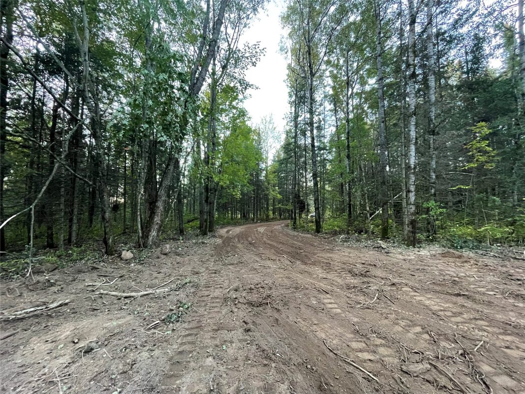 Lot 1 Fadness Road, Winter WI 54896 - Land house for sale - MLS #1605263 - image11
