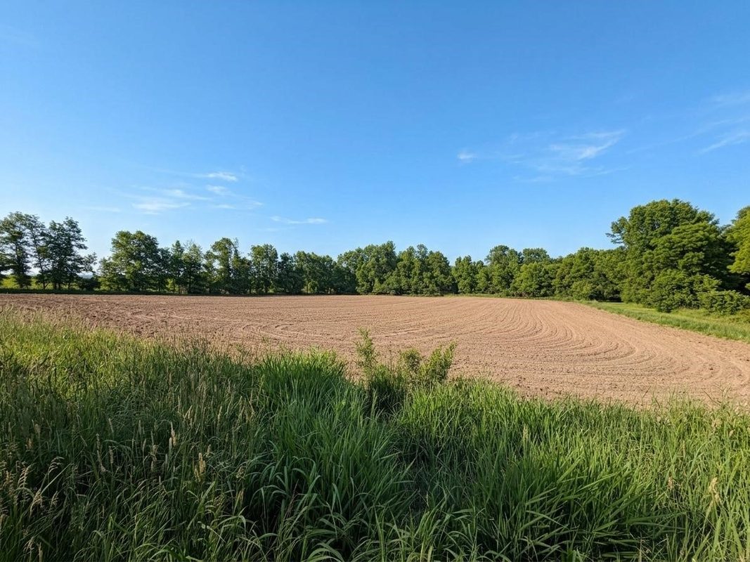 1915 22 1/2 Avenue, Rice Lake WI 54868 - Residential house for sale - MLS #1601806 - image41