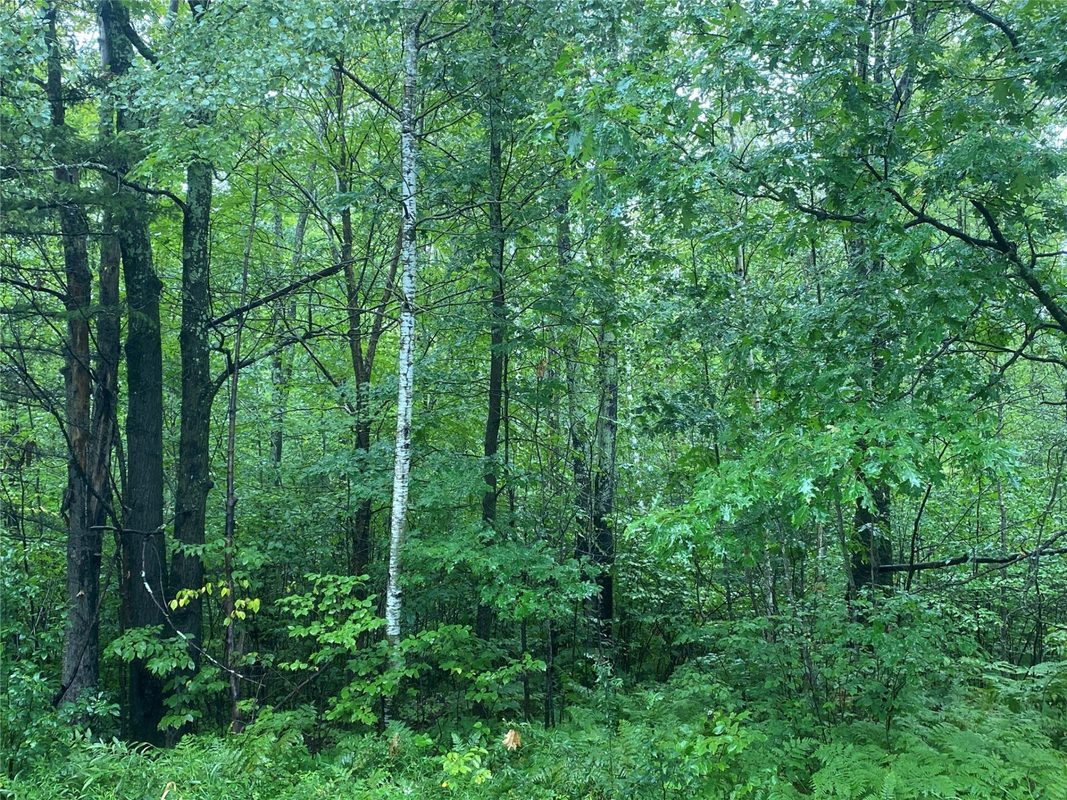 ON Pennington Road, Prentice WI 54556 - Land house for sale - MLS #1599132 - image5