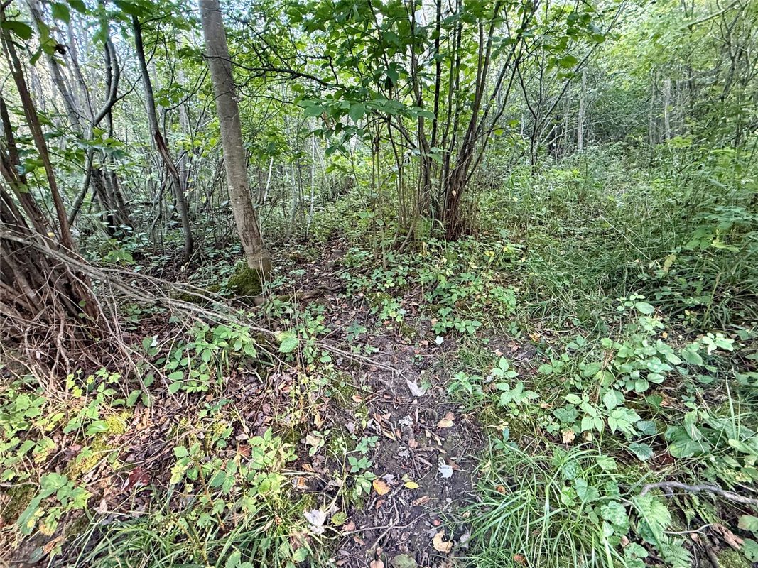 XX County Rd N, Kennan WI 54537 - Land house for sale - MLS #1605049 - image17