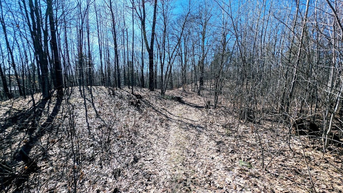 17341 County Highway M  New Auburn WI 54757 — photo 57