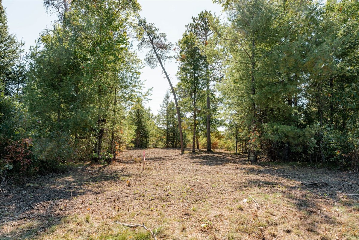 0 County Road T, Minong WI 54859 - Land house for sale - MLS #1605534 - image3