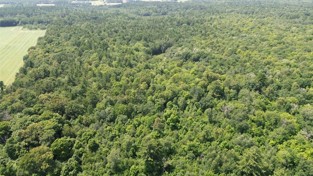 13743W State Highway 77, Hayward WI 54843 - Land house for sale - MLS #1603311 - image13
