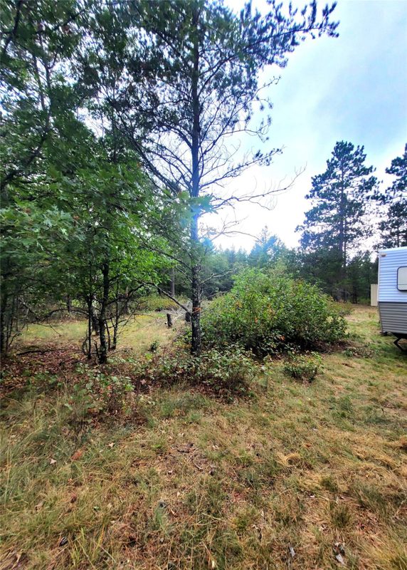 0 Blueberry Rd, Gordon WI 54838 - Land house for sale - MLS #1604990 - image30