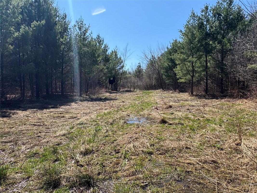 0000 110th Avenue Avenue, Glenwood City, WI — photo 21