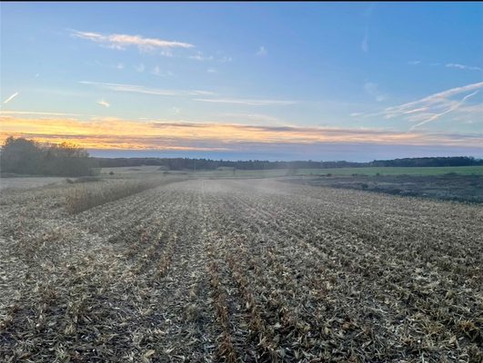 TBD 85th Street Clear Lake WI 54005