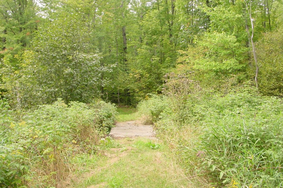 N5391 Hwy. 73, Ingram WI 54526 - Residential house for sale - MLS #1604886 - image24