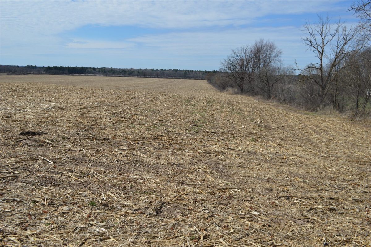 00 Highway SS, Cameron, WI — photo 12