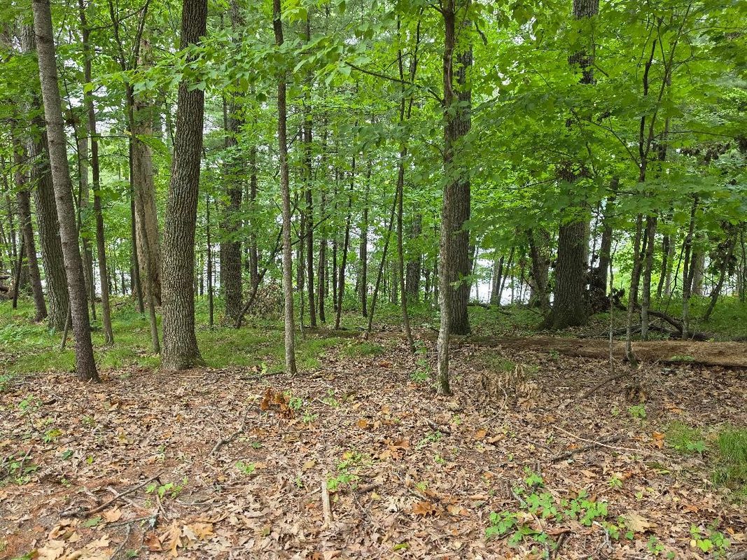 000 4th, Cumberland WI 54829 - Land house for sale - MLS #1606062 - image15