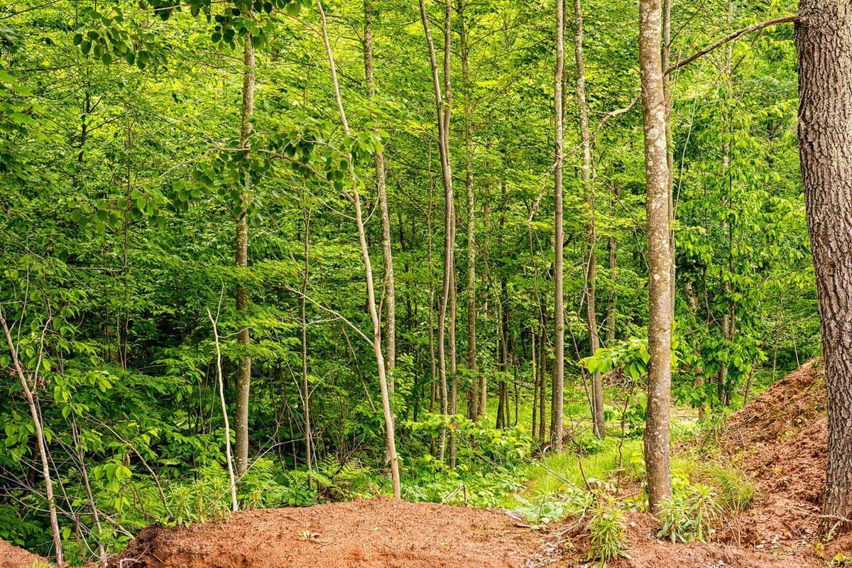 4339 Thunderbird Drive, Danbury WI 54830 - Land house for sale - MLS #1600969 - image20