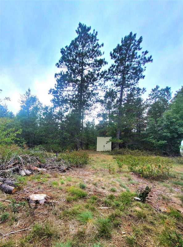 0 Blueberry Rd, Gordon WI 54838 - Land house for sale - MLS #1604990 - image28